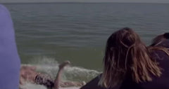 Surf Crime Gothic Dolphins – SURF CRIME AUSTRALIA